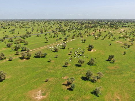 CSE: Monitoring environmental change for a resilient Senegal